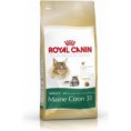 Royal Canin MAINE COON 31 2KG - 17,20€